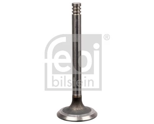 Intake Valve