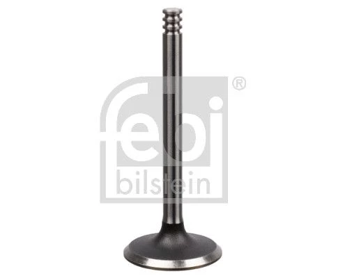 Intake Valve