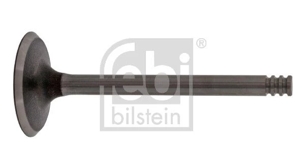Intake Valve
