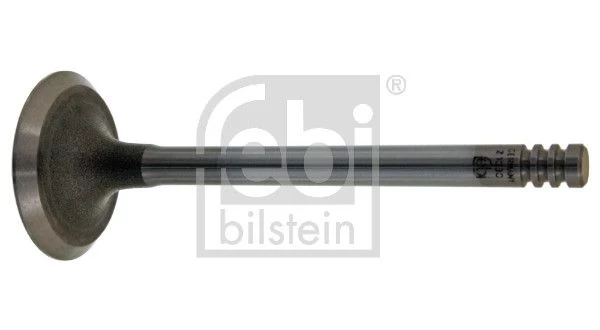 Intake Valve