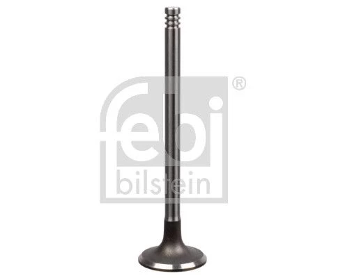 Intake Valve