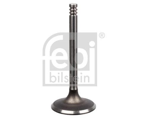 Intake Valve