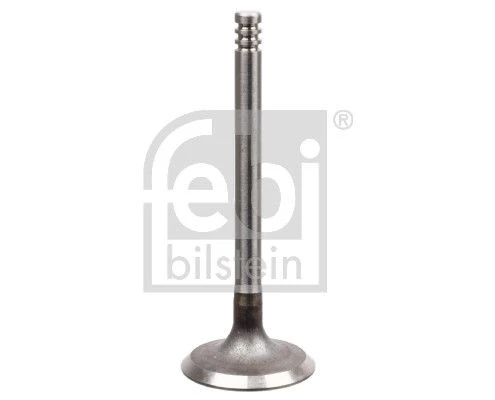 Intake Valve