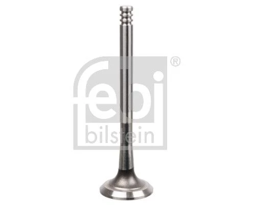 Intake Valve