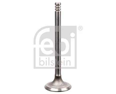 Intake Valve