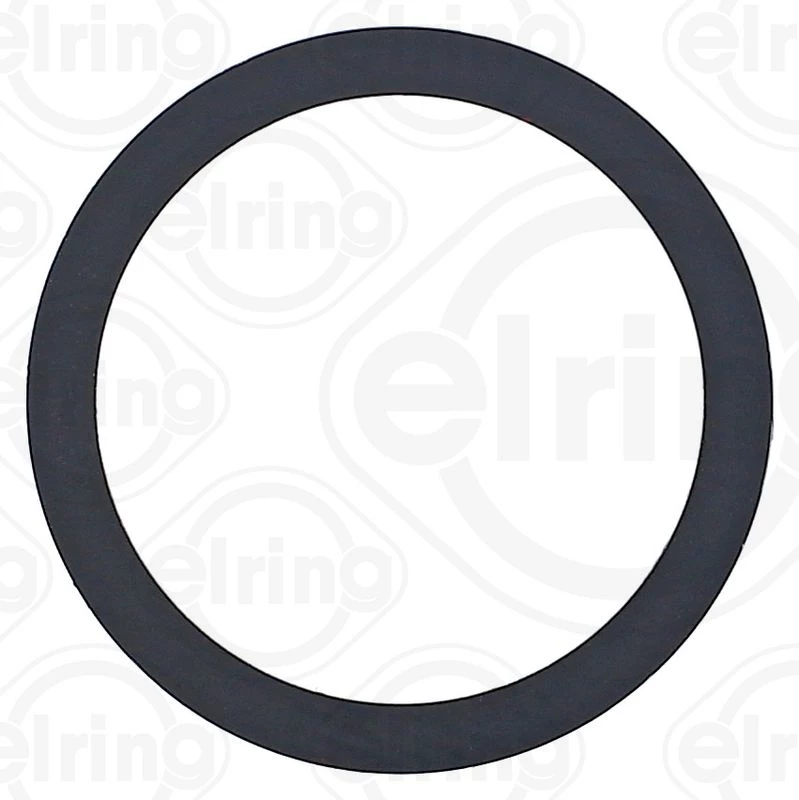 Gasket, EGR valve