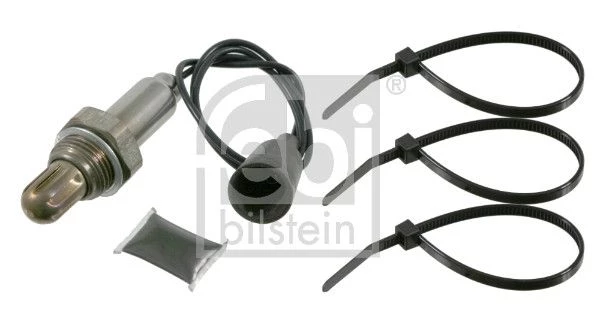 Oxygen Sensor