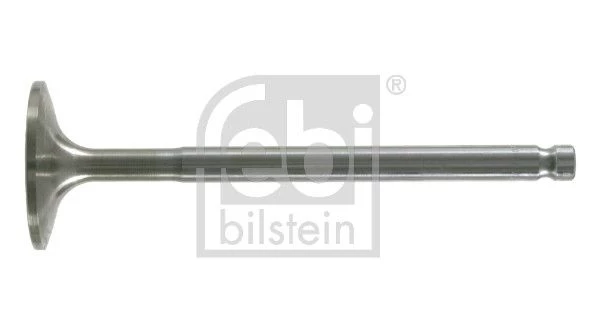 Intake Valve