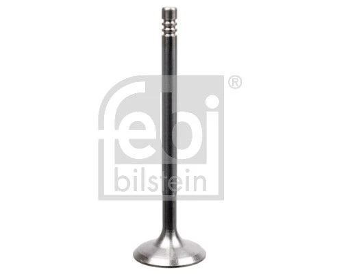 Intake Valve