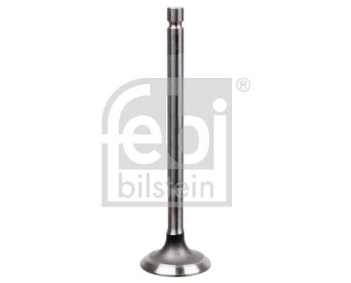 Intake Valve